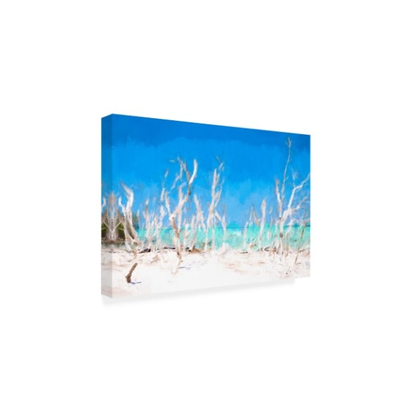 Philippe Hugonnard 'White Forest Lining' Canvas Art,12x19